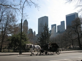 New York Central Park
