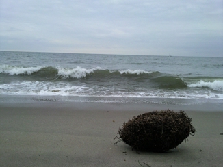 Strand von Santa Barbara